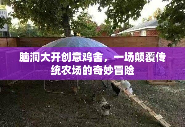 腦洞大開，創(chuàng)意雞舍的奇妙農(nóng)場革命