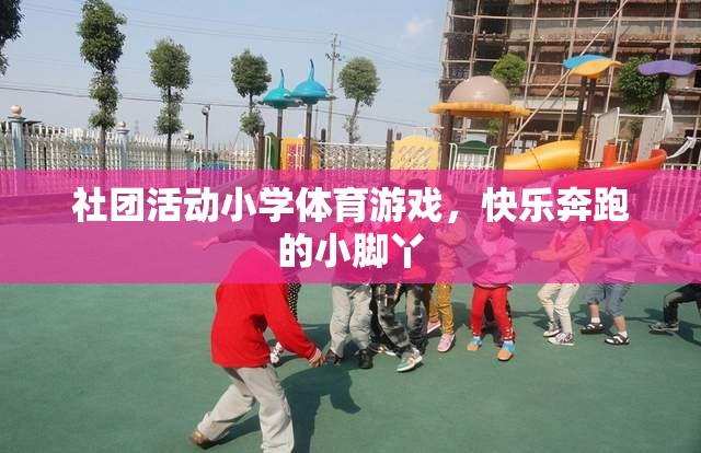 快樂奔跑的小腳丫，小學(xué)體育游戲中的社團活動樂趣