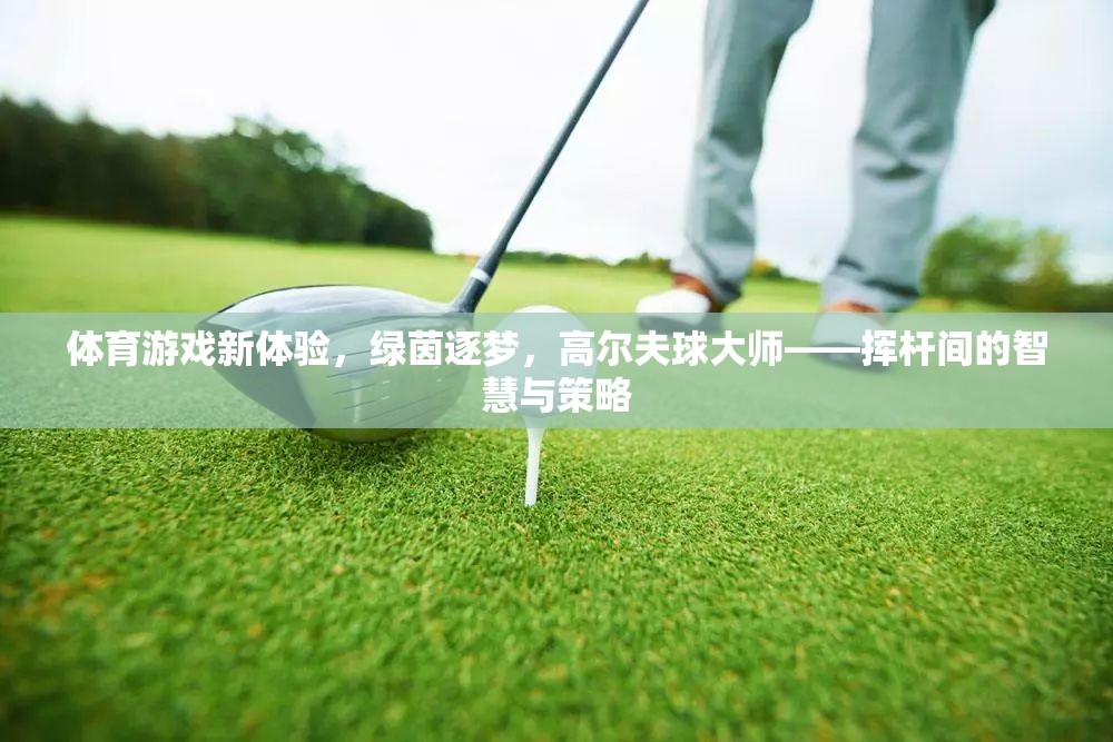 綠茵逐夢，高爾夫球大師的智慧與策略新體驗(yàn)