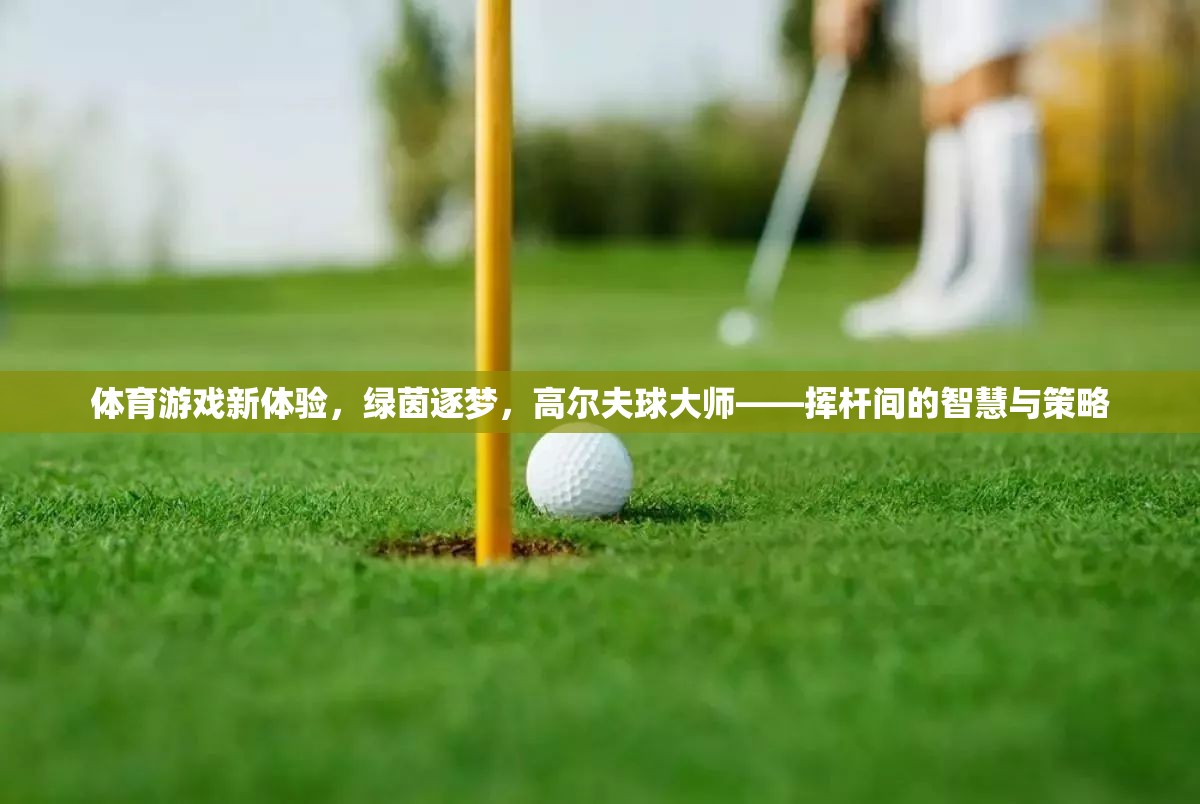 綠茵逐夢，高爾夫球大師的智慧與策略新體驗(yàn)