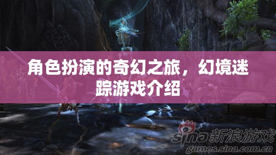 幻境迷蹤，一場(chǎng)角色扮演的奇幻之旅