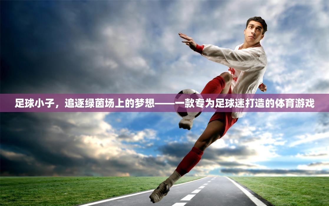 足球小子，追逐綠茵場上的夢想——足球迷的專屬體育游戲  第1張