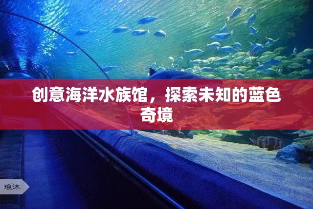 藍(lán)色奇境，創(chuàng)意海洋水族館的探索之旅  第1張
