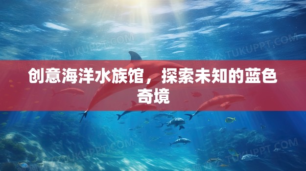 藍(lán)色奇境，創(chuàng)意海洋水族館的探索之旅  第2張