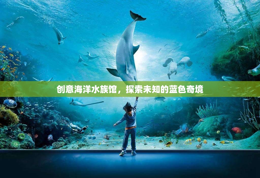 藍(lán)色奇境，創(chuàng)意海洋水族館的探索之旅  第3張