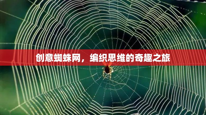 創(chuàng)意蜘蛛網(wǎng)，編織思維的奇趣之旅