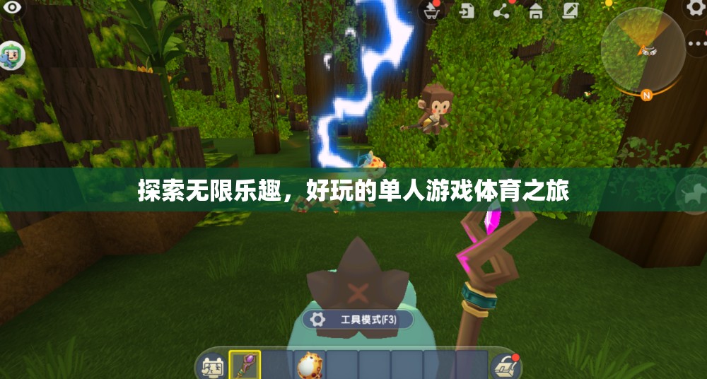 單人游戲體育之旅，解鎖無限樂趣的探索