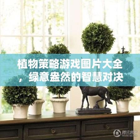 植物策略游戲圖片大全，綠意盎然的智慧對決