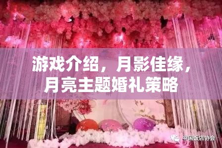 月影佳緣，打造獨(dú)一無二的月亮主題婚禮策略