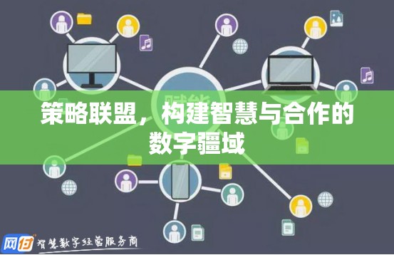 智慧合作，構(gòu)建策略聯(lián)盟的數(shù)字疆域