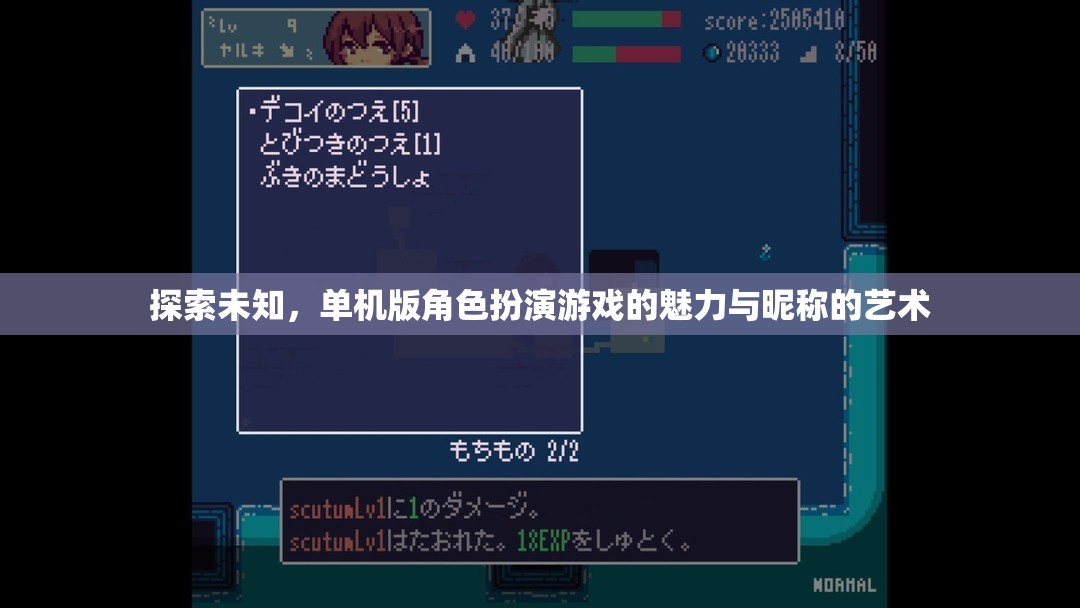探索未知，單機版角色扮演游戲中的昵稱藝術(shù)與魅力