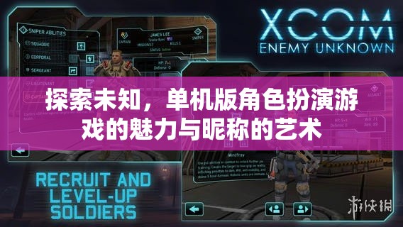 探索未知，單機版角色扮演游戲中的昵稱藝術(shù)與魅力