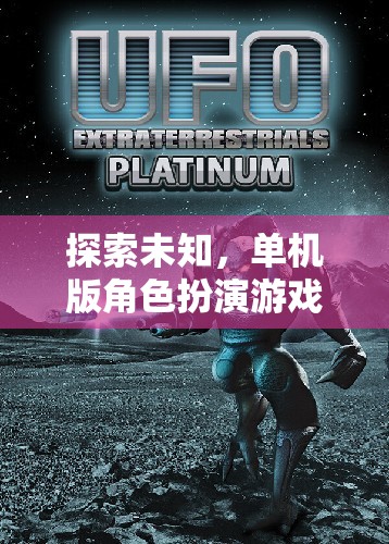 探索未知，單機版角色扮演游戲中的昵稱藝術(shù)與魅力