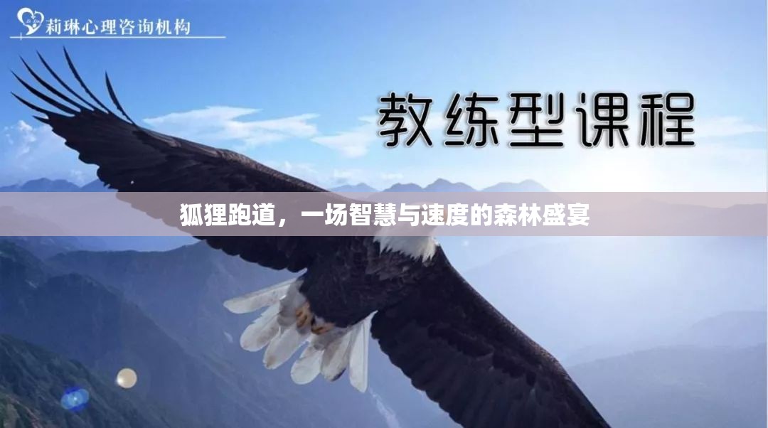 智慧與速度的森林盛宴，狐貍跑道