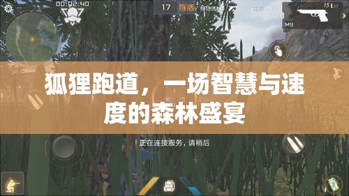 智慧與速度的森林盛宴，狐貍跑道