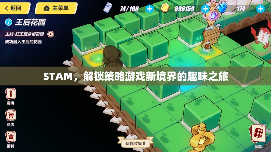 解鎖策略游戲新境界，STAM的趣味之旅