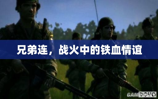 戰(zhàn)火中的鐵血情誼，兄弟連