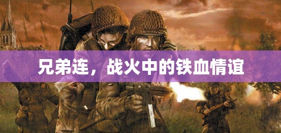 戰(zhàn)火中的鐵血情誼，兄弟連