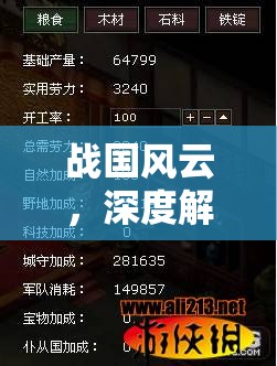 戰(zhàn)國風云深度解析，游戲策略玩法指南