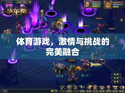 激情與挑戰(zhàn)，體育游戲中的完美融合