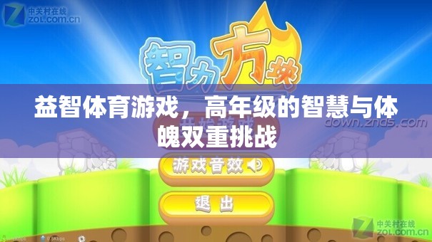 高年級智慧與體魄的雙重挑戰(zhàn)，益智體育游戲