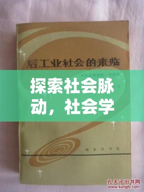 社會(huì)棱鏡，探索與角色扮演——社會(huì)學(xué)在互動(dòng)游戲中的實(shí)踐與啟示
