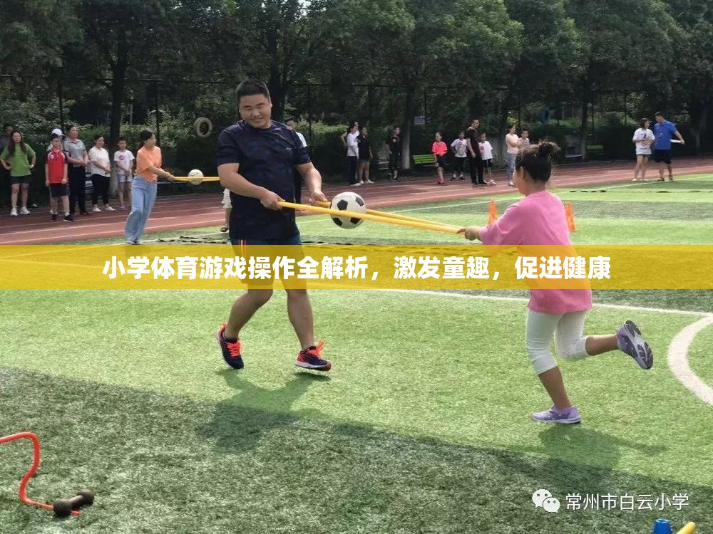 小學(xué)體育游戲全解析，激發(fā)童趣，促進(jìn)健康