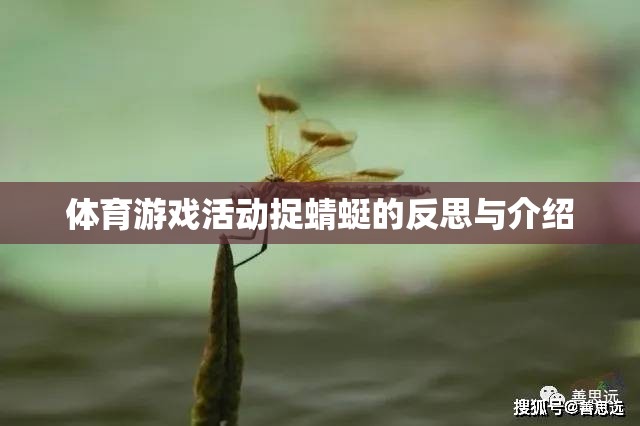 體育游戲活動(dòng)捉蜻蜓的反思與介紹