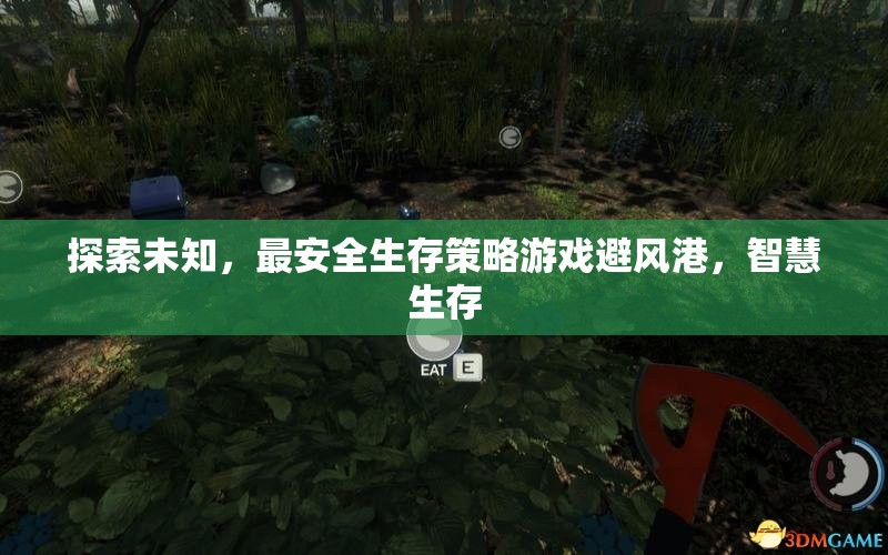 智慧生存，探索未知的避風(fēng)港