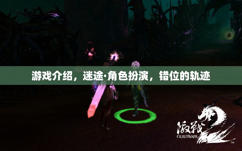 迷途·角色扮演，錯(cuò)位的軌跡——探索錯(cuò)綜復(fù)雜的游戲世界  第3張