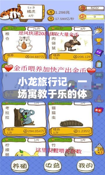 寓教于樂，小龍旅行記——一場創(chuàng)新的體育游戲教案探索