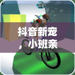 小班親子體育游戲，抖音新寵，愛的運動時光