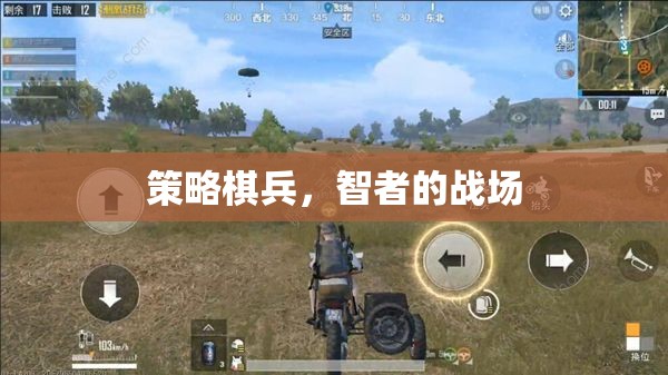 智者的策略棋兵，智謀與決斷的戰(zhàn)場(chǎng)