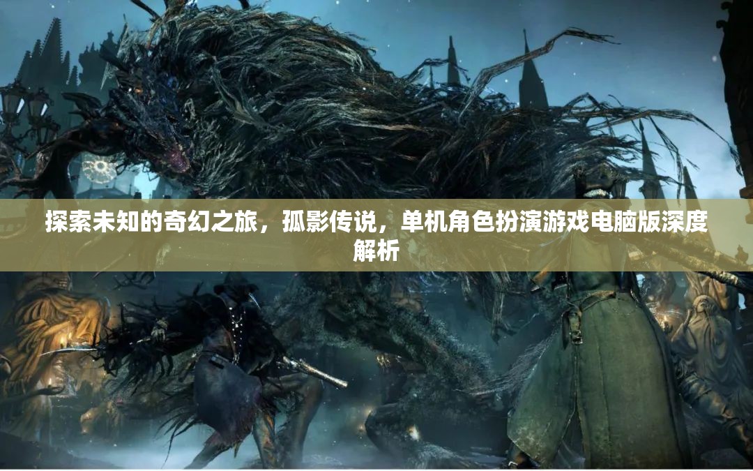 孤影傳說，探索未知的奇幻之旅——單機(jī)角色扮演游戲電腦版深度解析
