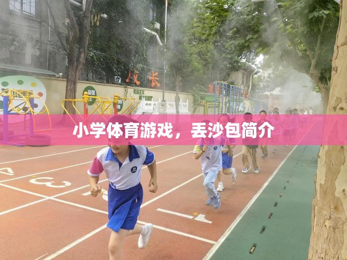 小學體育游戲，丟沙包的基本玩法與樂趣  第1張