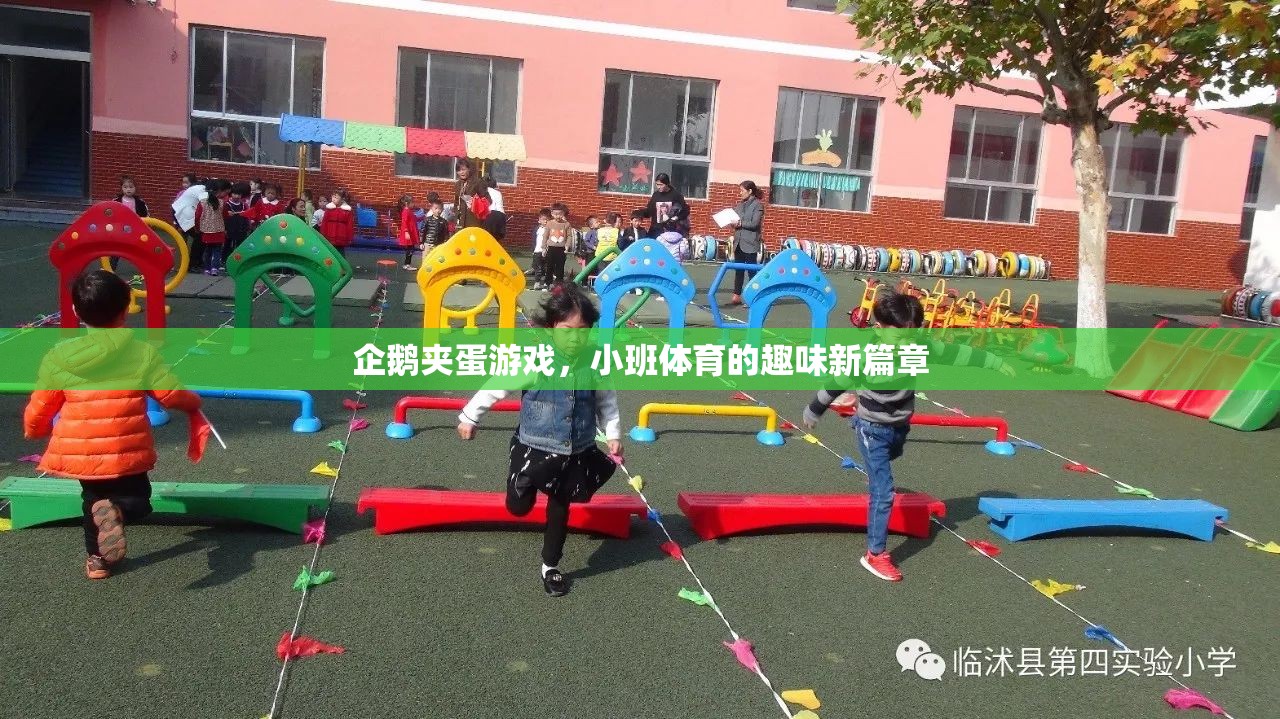 企鵝夾蛋游戲，小班體育的趣味新篇章