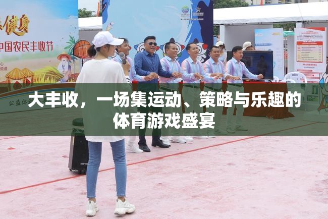 大豐收，運(yùn)動(dòng)、策略與樂(lè)趣的完美融合