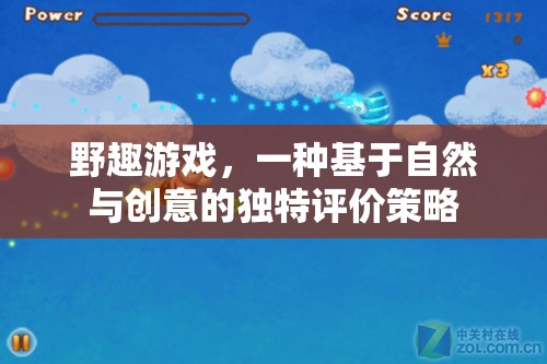野趣游戲，自然與創(chuàng)意的獨特評價策略