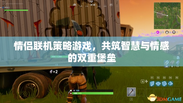 智慧與情感的雙重挑戰(zhàn)，情侶聯(lián)機策略游戲