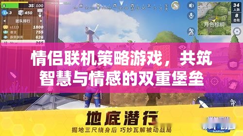 智慧與情感的雙重挑戰(zhàn)，情侶聯(lián)機策略游戲