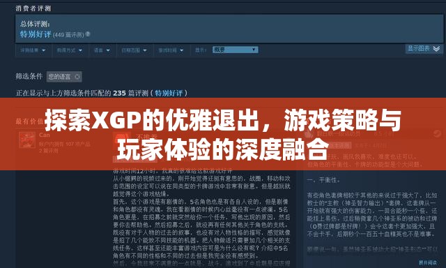 XGP優(yōu)雅退出策略，游戲策略與玩家體驗(yàn)的深度融合