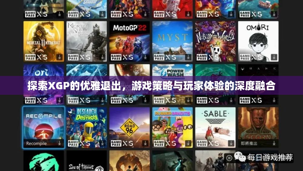 XGP優(yōu)雅退出策略，游戲策略與玩家體驗(yàn)的深度融合