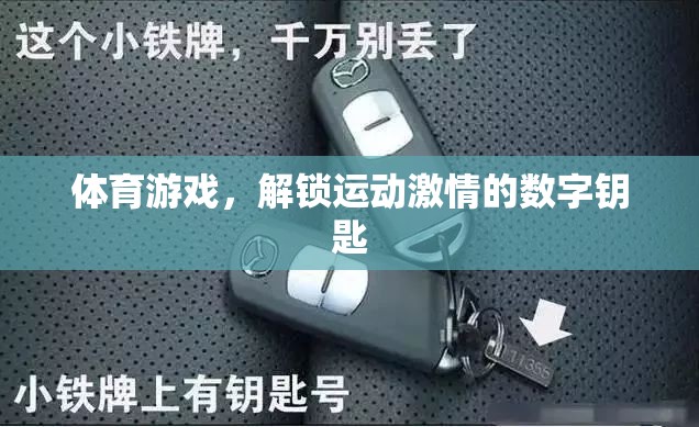 解鎖運(yùn)動(dòng)激情，體育游戲的數(shù)字鑰匙