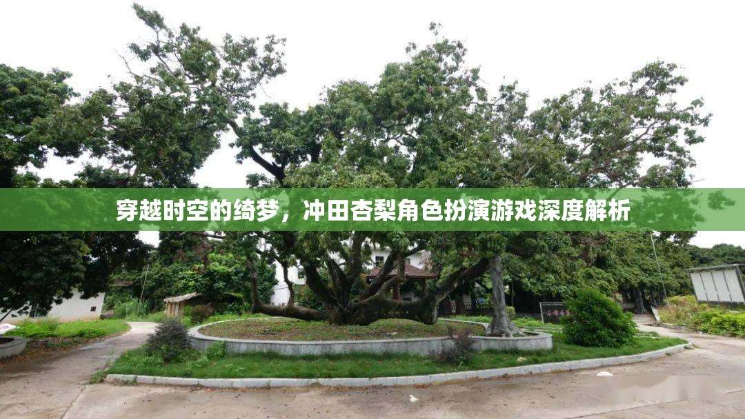 穿越時空的綺夢，沖田杏梨角色扮演游戲深度解析