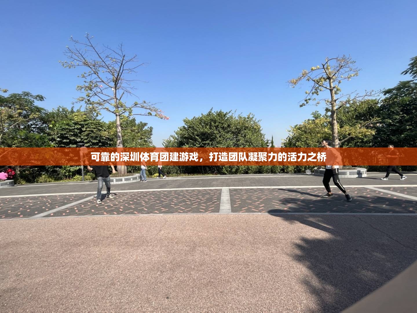 可靠的深圳體育團建游戲，打造團隊凝聚力的活力之橋