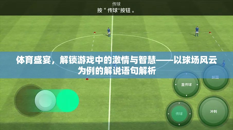 球場(chǎng)風(fēng)云，解鎖體育盛宴中的激情與智慧