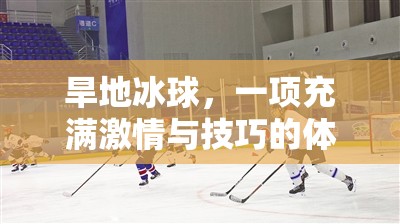 旱地冰球，激情與技巧并存的體育游戲教案指南