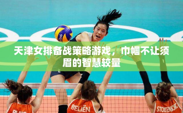 天津女排備戰(zhàn)策略游戲，巾幗不讓須眉的智慧較量