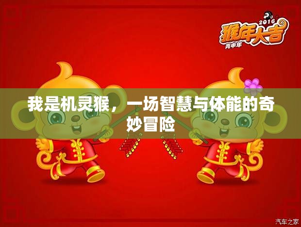 機(jī)靈猴，智慧與體能的奇妙冒險(xiǎn)  第1張