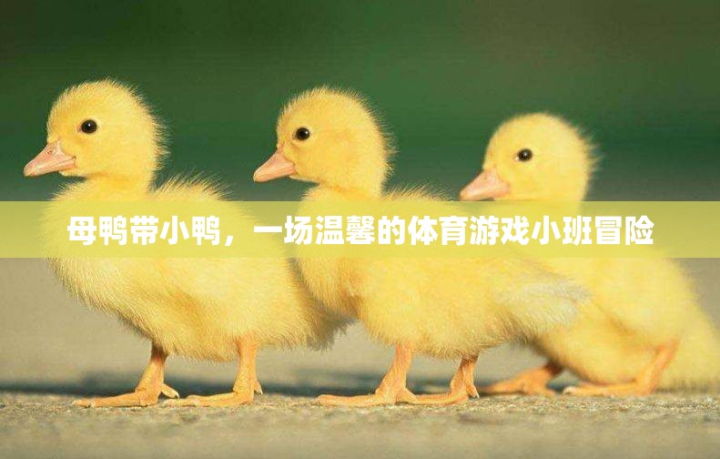 母鴨小隊(duì)，溫馨的體育游戲小班冒險